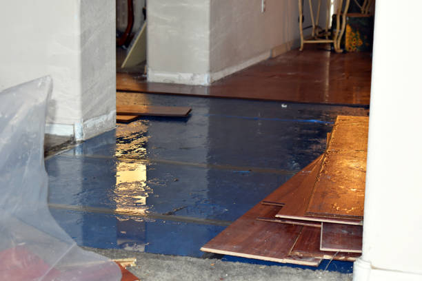 Professional Basement Flooding technician working in Shamrock, TX